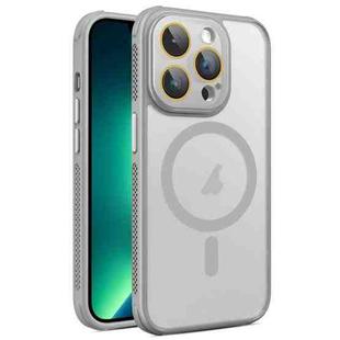 For iPhone 13 Pro Side Cooling Skin Feel Frosted MagSafe Magnetic Phone Case(Grey)