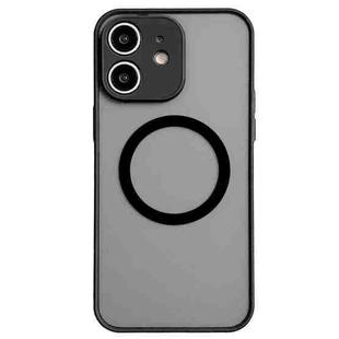 For iPhone 11 Hawkeye Skin Feel MagSafe Phone Case(Black)