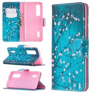 For OPPO Find X2 Pro Colored Drawing Pattern Horizontal Flip Leather Case with Holder & Card Slots & Wallet(Plum Blossom)