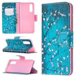 For OPPO Find X2 Neo Colored Drawing Pattern Horizontal Flip Leather Case with Holder & Card Slots & Wallet(Plum Blossom)