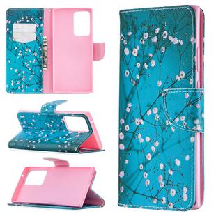 For Samsung Galaxy Note 20 Ultra Colored Drawing Pattern Horizontal Flip Leather Case with Holder & Card Slots & Wallet(Plum Blossom)