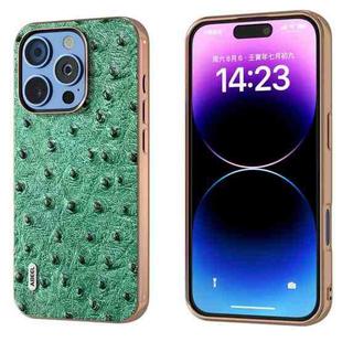 For iPhone 16 Pro Max ABEEL Electroplating Frame Genuine Leather Ostrich Texture Phone Case(Green)