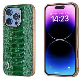 For iPhone 16 Pro Max ABEEL Electroplating Frame Genuine Leather Weilai Series Phone Case(Green)