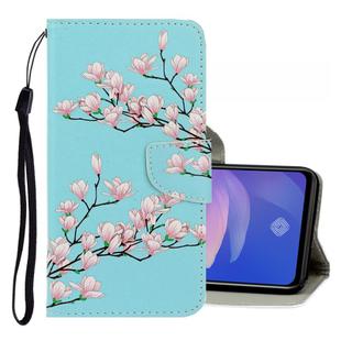 For Vivo S1 Pro 3D Colored Drawing Horizontal Flip PU Leather Case with Holder & Card Slots & Wallet(Magnolia)