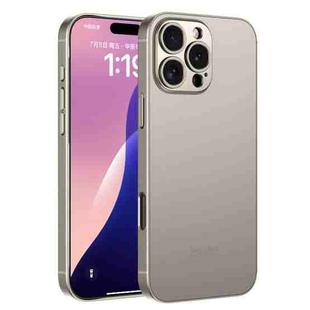 For iPhone 16 Pro Max GKK AG Craft Skin Feel Full Coverage Phone Case(Titanium Grey)