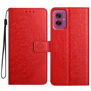 For Motorola Moto G55 Flower Embossed Leather Phone Case(Red)