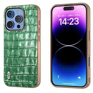 For iPhone 16 Pro Max ABEEL Electroplating Frame Crocodile Texture Genuine Leather Phone Case(Green)