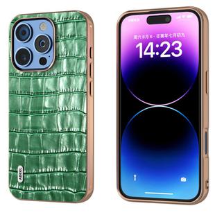 For iPhone 16 Pro ABEEL Electroplating Frame Crocodile Texture Genuine Leather Phone Case(Green)