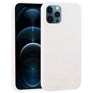 For iPhone 12 Pro Max Starry Series Shockproof Straw Material + TPU Protective Case (Starlight)