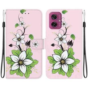 For Motorola Moto G55 Crystal Texture Colored Drawing Leather Phone Case(Lily)