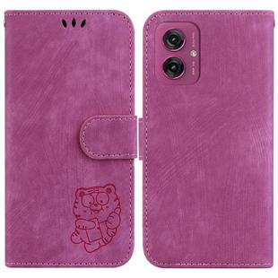 For Motorola Moto G55 Little Tiger Embossed Leather Phone Case(Rose Red)