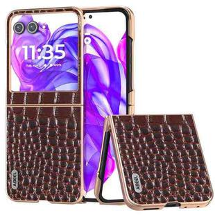 For Motorola Razr 50 ABEEL Electroplated Frame Genuine Leather Crocodile Pattern Phone Case(Coffee)