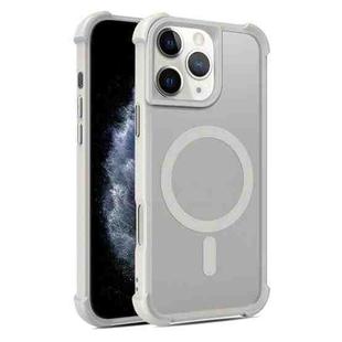 For iPhone 11 Pro Max Skin Feel MagSafe Phone Case(Grey)