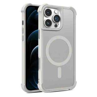 For iPhone 12 Pro Max Skin Feel MagSafe Phone Case(Grey)