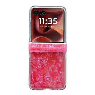 For Motorola Razr 60 Ultra Three-piece Set Pearlescent Shell Texture Phone Case(Red)