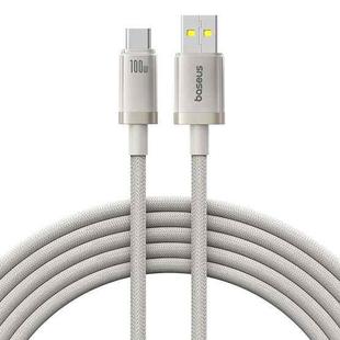 Baseus Titanium Alloy Series 100W USB to Type-C Fast Charging Cable, Length:2m(Gold)