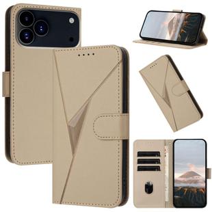 For iPhone 17 Pro Max Triangle Pattern Buckle Clasp Leather Phone Case(Gold)