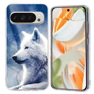 For Google Pixel 9 Pro XL Colorful Painting Pattern TPU Phone Case(White Wolf)