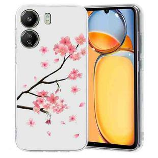 For Redmi 13C 4G Colorful Painting Pattern TPU Phone Case(Plum Blossom)