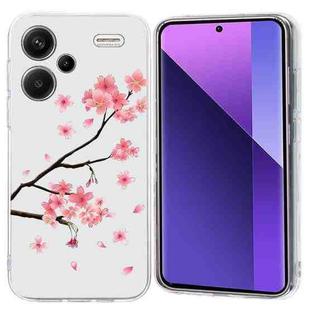 For Redmi Note 13 Pro+ 5G Colorful Painting Pattern TPU Phone Case(Plum Blossom)