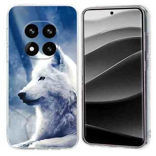 For Redmi Note 14 Pro+ 5G Colorful Painting Pattern TPU Phone Case(White Wolf)