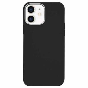 For iPhone 11 Litchi Pattern Silver Edge Camera Frame Material Phone Case(Black)