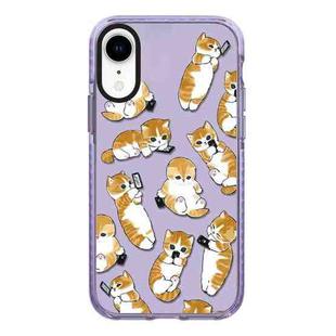 For iPhone XR Simple Illustration Pattern Full Coverage Phone Case(Weight Loss Cat C)