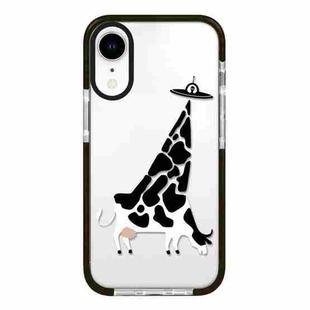 For iPhone XR Simple Illustration Pattern Full Coverage Phone Case(Funny Cow A)