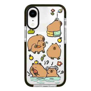 For iPhone XR Simple Illustration Pattern Full Coverage Phone Case(Capybara B)