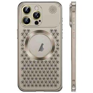 For iPhone 16 Pro Max Spring Buckle MagSafe Magnetic Metal Aromatherapy Phone Case(Grey)