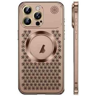 For iPhone 16 Pro Max Spring Buckle MagSafe Magnetic Metal Aromatherapy Phone Case(Gold)