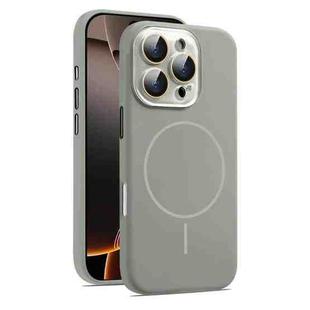 For iPhone 16 Pro Max AG Fine Hole Liquid Silicone MagSafe Magnetic Phone Case(Titanium Gray)