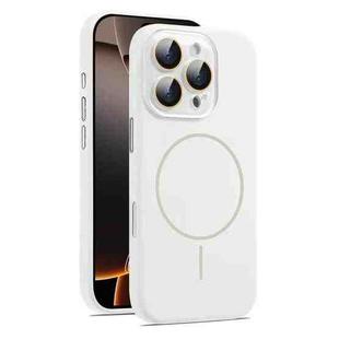 For iPhone 16 Pro AG Fine Hole Liquid Silicone MagSafe Magnetic Phone Case(White)