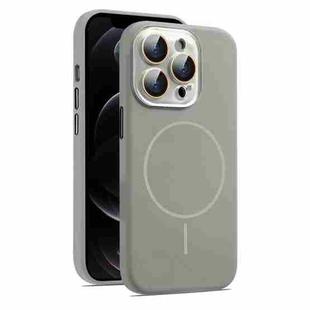 For iPhone 12 Pro Max AG Fine Hole Liquid Silicone MagSafe Magnetic Phone Case(Titanium Gray)