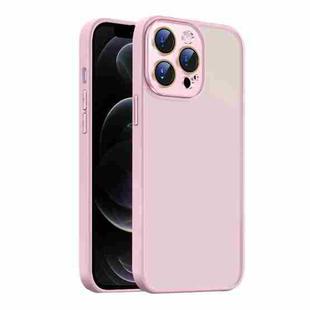 For iPhone 12 Pro Nano Semi-transparent Frosted Skin Feel Phone Case(Light Pink)