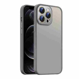 For iPhone 12 Pro Max Nano Semi-transparent Frosted Skin Feel Phone Case(Titanium Gray)