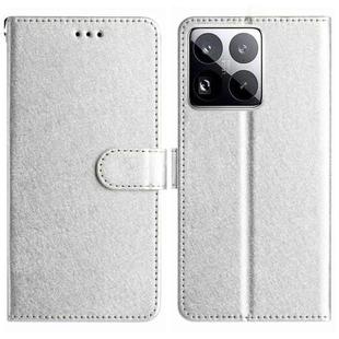For Xiaomi 15 Pro Silk Texture Horizontal Flip Leather Phone Case(Silver)