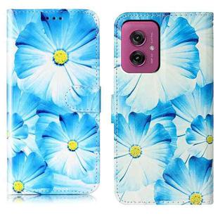 For Motorola Moto G55 Colored Drawing Marble Pattern Leather Phone Case(Blue Flower)