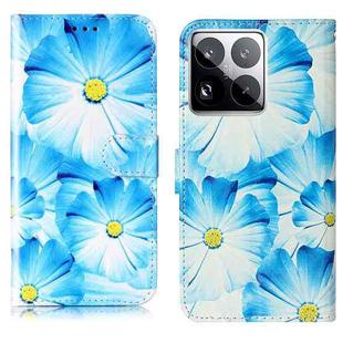 For Xiaomi 15 Pro Colored Drawing Marble Pattern Leather Phone Case(Blue Flower)