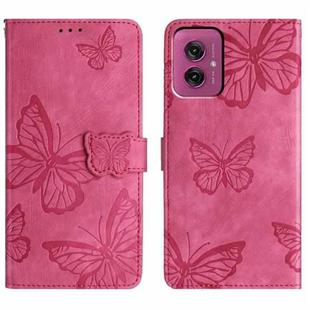 For Motorola Moto G55 Skin-feel Embossed Butterfly Leather Phone Case(Rose Red)