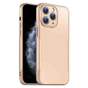 For iPhone 11 Pro Max Blade Slim AG Matte Shockproof Phone Case(Desert Gold)