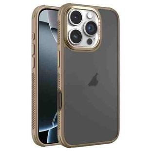 For iPhone 16 Pro Hardware Side Cooling Skin Feel Frosted Metal Lens Frame Phone Case(Gold)