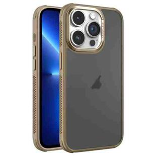 For iPhone 13 Pro Hardware Side Cooling Skin Feel Frosted Metal Lens Frame Phone Case(Gold)