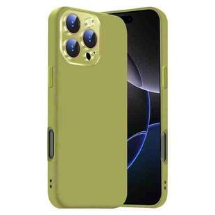 For iPhone 16 Pro Max Nano Lens Cover Liquid Silicone Phone Case(Fruit Green)