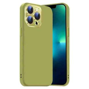 For iPhone 13 Pro Nano Lens Cover Liquid Silicone Phone Case(Fruit Green)