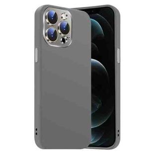 For iPhone 12 Pro Nano Lens Cover Liquid Silicone Phone Case(Titanium Gray)