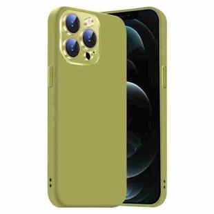 For iPhone 12 Pro Max Nano Lens Cover Liquid Silicone Phone Case(Fruit Green)