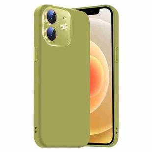 For iPhone 12 Nano Lens Cover Liquid Silicone Phone Case(Fruit Green)