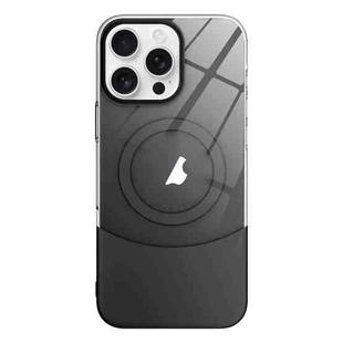 For iPhone 11 Pro Max Slim Color Contrast MagSafe PC Transparent Phone Case(Black)