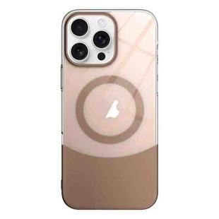 For iPhone 11 Pro Max Slim Color Contrast MagSafe PC Transparent Phone Case(Gold)
